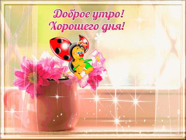 пожелание и цветы