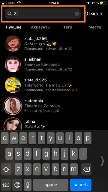 Поиск по Нику в instagram