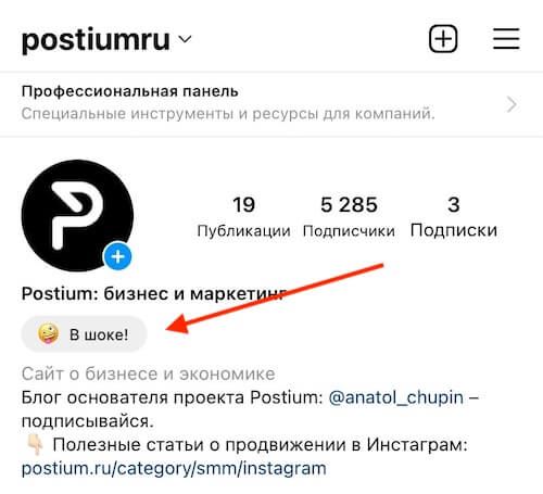 Статус в шапке профиля